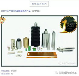 2017年芯明天科技在市場中銷量高的產品