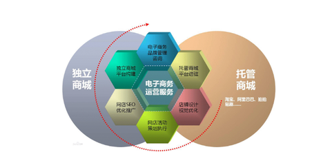 電子商務的應用領域與運營服務