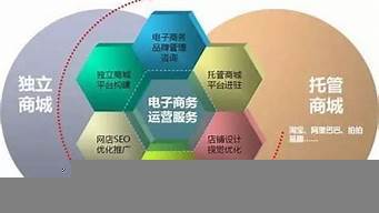 電商專業(yè)學(xué)習(xí)內(nèi)容 電子商務(wù)運(yùn)營(yíng)服務(wù)全解析
